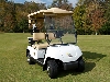 Yamaha Electric Golf Car